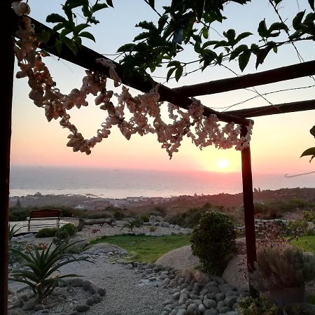 Onze Uitsight Cottage 세인트 헬레나 베이 외부 사진